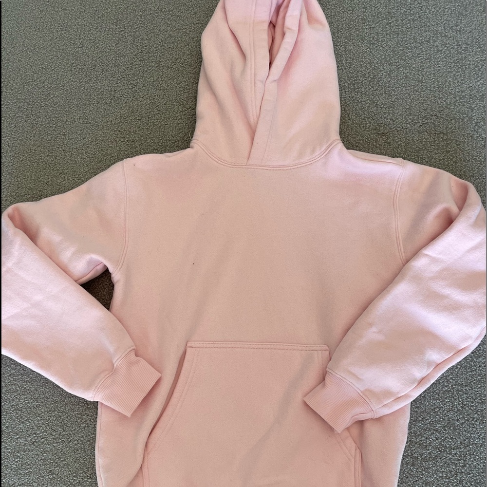 ARITZIA TNA HOODIE